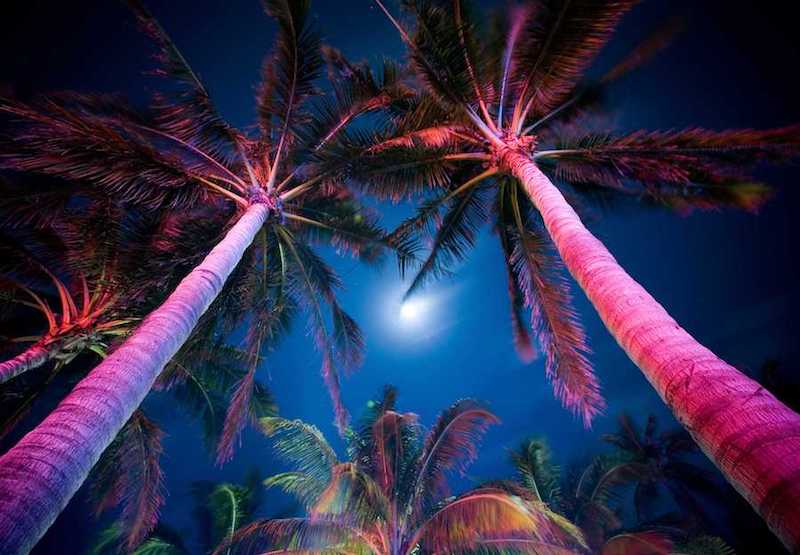 Sorties et vie nocturne à Fuerteventura