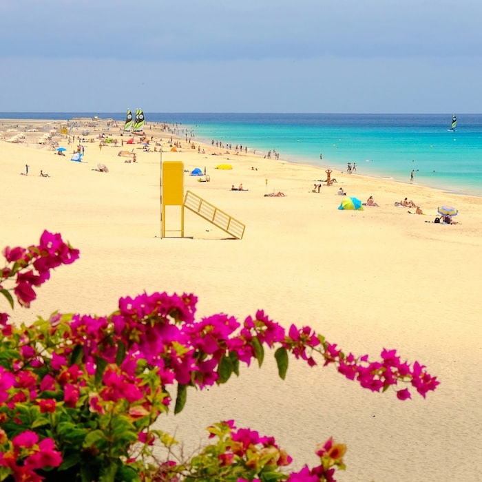 location de voiture fuerteventura, iles canaries